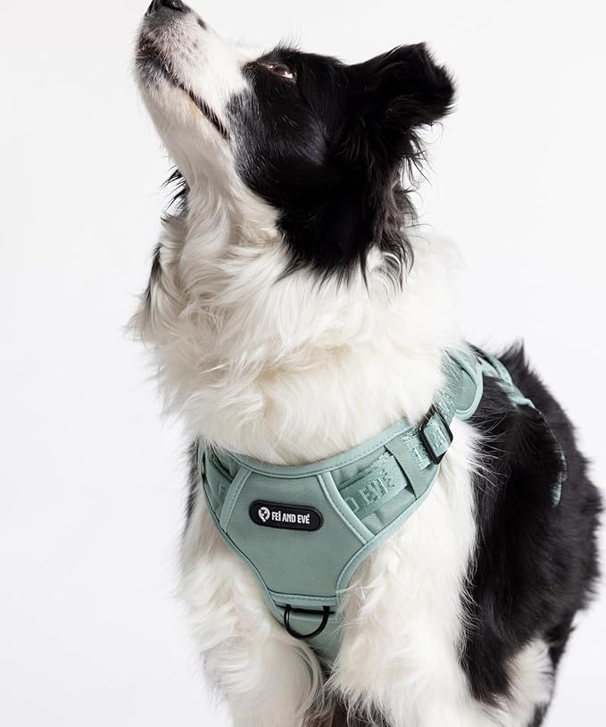 2025 New Edition, Fei & Eve MagEase Dog Harness - 3-Second Magnetic Buckles | 3-Point No-Pull Control | Heavy-Duty 900D Nylon | Dual Safety Handles | Breathable Mesh | Adjustable Fit | X-Large, Green-Mewly Pet
