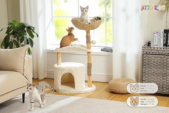 Modern Cat Tree Tower for Large Cats, Wood Cat Tower with Natural Scratching Post, Solid Wood Condo, Real Branch Luxury Cat Furniture with Curved Bed, Top Basket, White-Mewly Pet