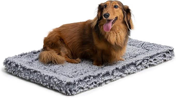 Stoutwool Indestructible Dog Bed - Fluffy Chew Proof Dog Crate Pad - Tough Kennel Pad for Aggressive Chewers - Washable, Ideal for Small Breeds & Fits 24-Inch Crate - 23"x16", Charcoal-Mewly Pet
