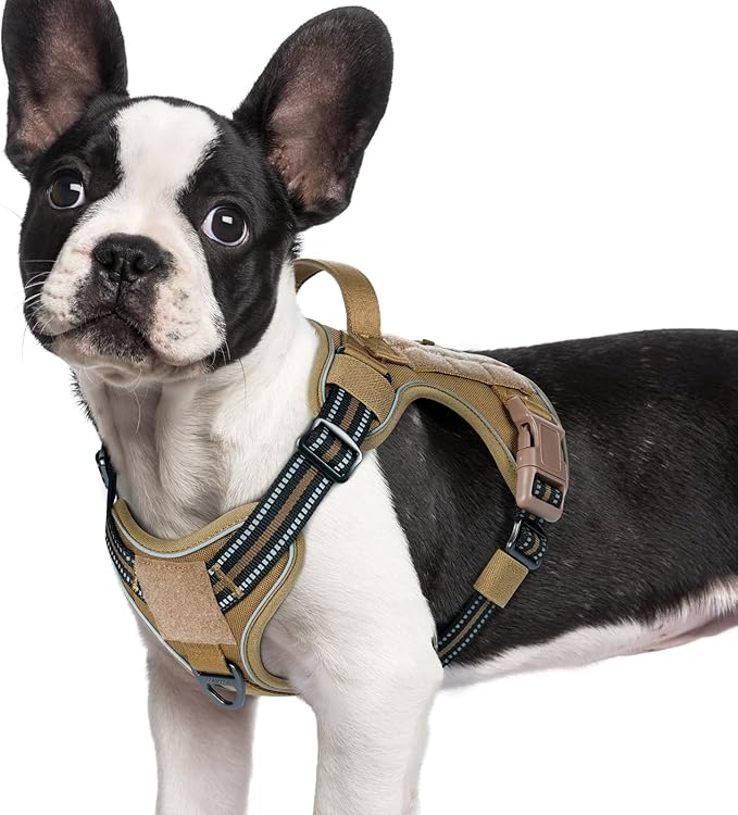 rabbitgoo Dog Harness Small Sized No Pull, Tactical Service Pet Vest with Molle and Control Handle, Adjustable and Reflective Military Harness for Easy Walking and Training, Brown, S-Mewly Pet