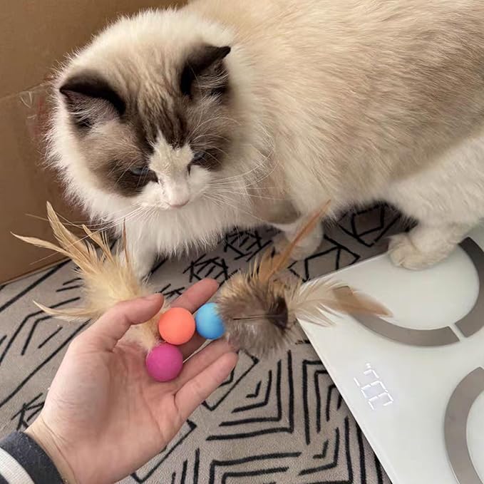 Cat Toys Balls with Feathers, 3 Pcs Interactive Cat Bouncy Balls for Indoor Cats and Playful Kittens, Rubber Kitten Ball Toys for Interactive Playing, Chase Training and Hunting Exercise-Mewly Pet