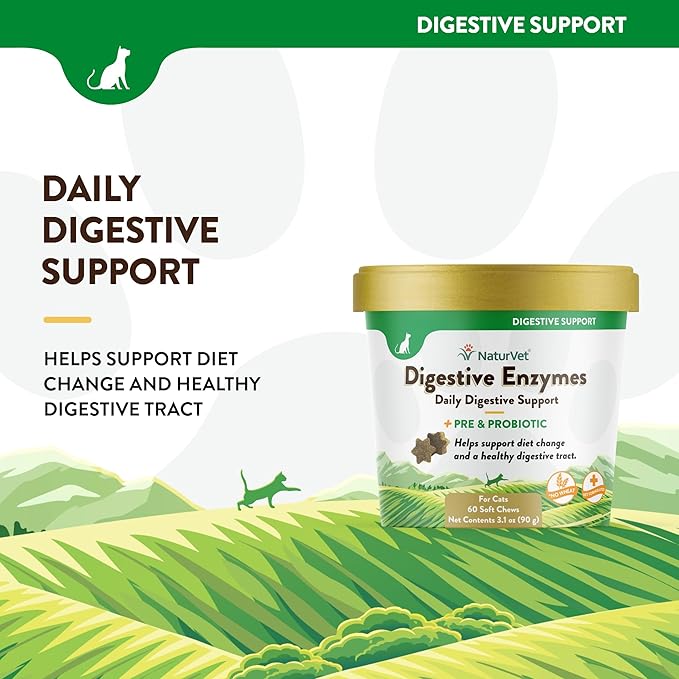 NaturVet – Digestive Enzymes for Cats Plus Probiotics – 60 Soft Chews – Helps Support Diet Change & A Healthy Digestive Tract – Aids in The Absorption of Vitamins & Minerals – 30 Day Supply-Mewly Pet