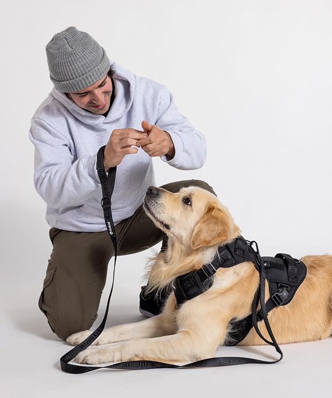 2025 New Edition, Fei & Eve MagEase Dog Harness - 3-Second Magnetic Buckles | 3-Point No-Pull Control | Heavy-Duty 900D Nylon | Dual Safety Handles | Breathable Mesh | Adjustable Fit | Medium,Black-Mewly Pet