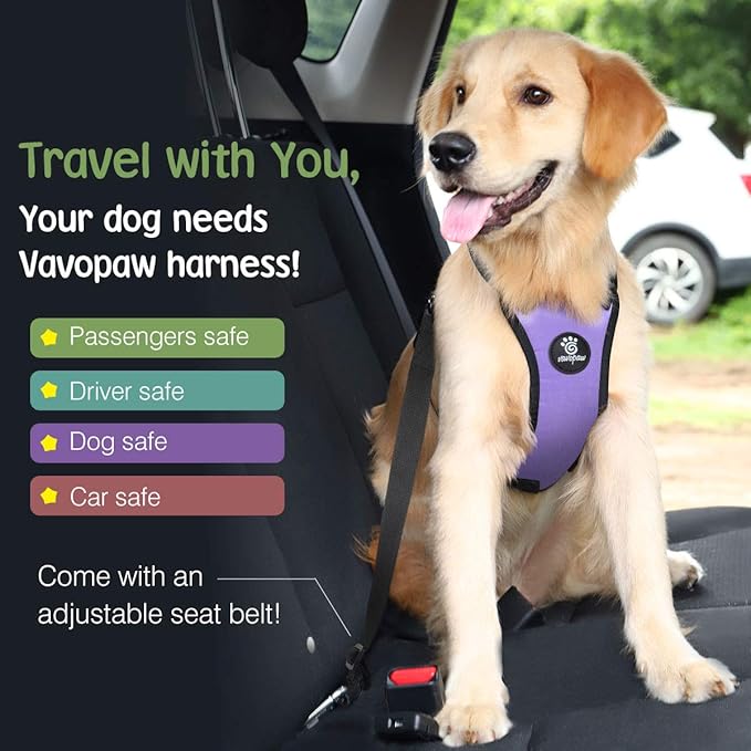 Dog Seat Belt, Safety Vest Dog Car Harness with Adjustable Buckle Dog Seat Belt for Vehicle Nylon Pet Safety Seat Belts Heavy Duty(XL, Purple)-Mewly Pet