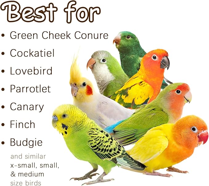 5-Pack Natural Hanging Basket Bird Toys – Foraging & Chewing Toys for Parakeets, Cockatiels, Conures & Small Birds – No Plastic, All-Natural Materials-Mewly Pet