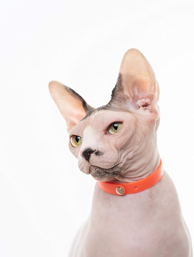 Rubber Cat Collar - Soft, Comfortable, and Lightweight Breakaway Collar with Name Tag Ring for Outdoor Cats and Sensitive Skin Kittens by Nuvuq (6 ⅞" to 10 ¼", Orange)-Mewly Pet