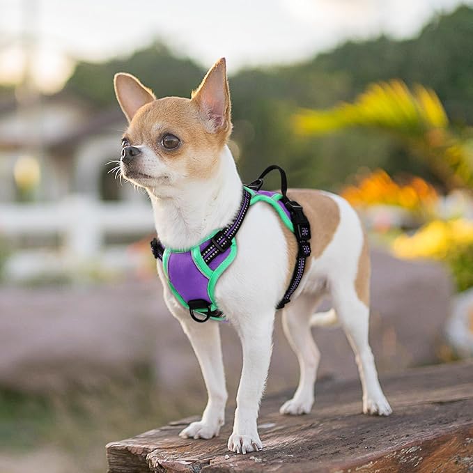 Eagloo Small Dog Harness No Pull, Service Vest with Reflective Strips and Control Handle, Adjustable and Comfortable for Walking, No Choke Pet Harness with 2 Metal Rings, Purple & Green, XS-Mewly Pet