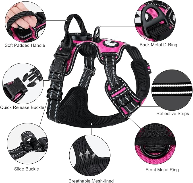 Taglory Light Up Dog Harness, Rechargeable No Pull Dog Vest with 3 Lightning Modes, Reflective Dog Harness with 2 Leash Clips & 4 Adjustable Slide Strips for Medium Dogs, Hotpink-Hotpink, M-Mewly Pet