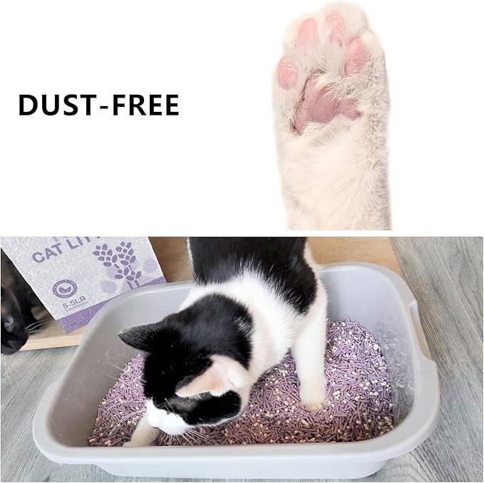 Tofu Cat Litter, Dust-Free Kitty Litter, Ultra Absorbent Clumping Cat Pellet Litter, Fast Drying, Lavender Odor Control, Less Scattering, Dust-Free Mixed.-Mewly Pet