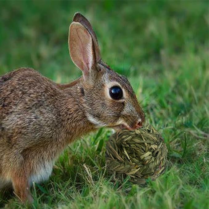 6 Pcs Bunny Timothy Grass Ball Natural Chew Toy Woven Chewing Toys Rabbit Molar Small Animals Teeth Grinding Suitable for Hamster Totoro Gerbils Guinea Pig Squirrel-Mewly Pet