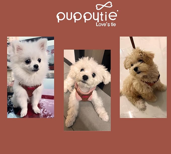 Puppytie No Pull XXS Puppy Harness with Multifunction Dog Leash,Soft Adjustable No Choke Escape Proof Pet Harness Vest,Brown Caramel,XXS-Mewly Pet
