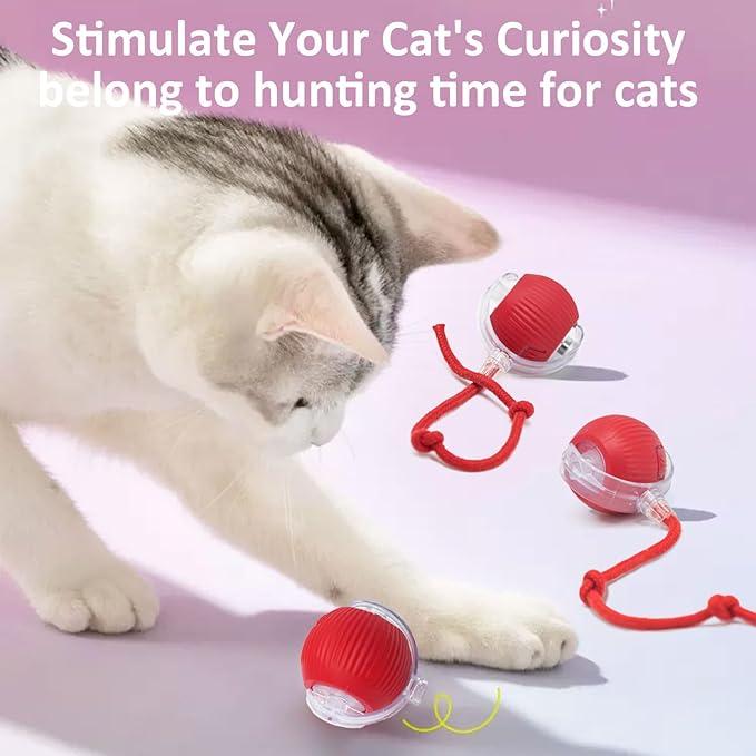 Interactive Cat Toys for Indoor Cats, 360° Smart Automatic Kitten Toys Self Rolling Pet Ball, Moving Dog Cat Ball with Mesh Tail for Bored, USB Rechargeable (Red)-Mewly Pet