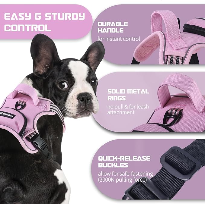 BUMBIN Dog Harness for Large Dogs, No Pull Adjustable No Choke Pet Vest with Dog Leash Fit Smart Reflective Pet Walking Harness for Training Easy Control Soft Handle Pink M-Mewly Pet