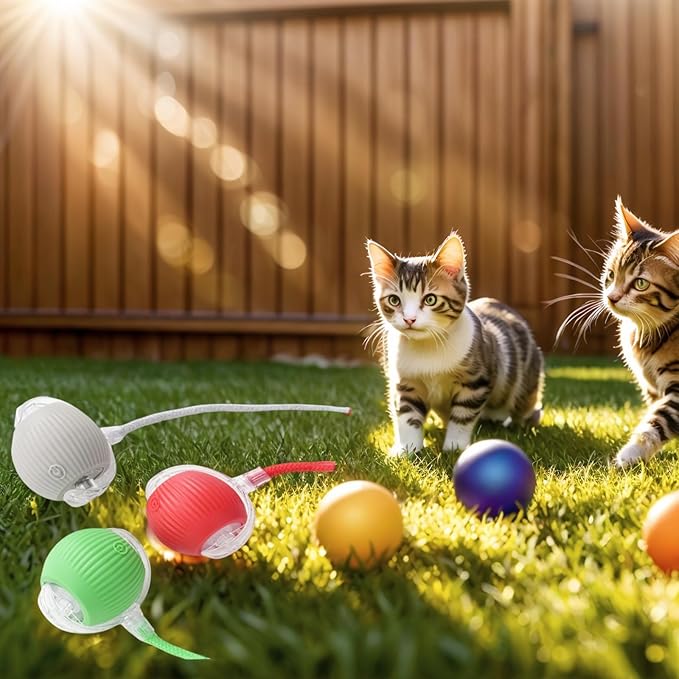 Electric Cat Toy - Automatic Rolling cat Toy with Motion sensors, Designed for Indoor Cats, Suitable for Solo Play (USB Rechargeable) (Red)-Mewly Pet