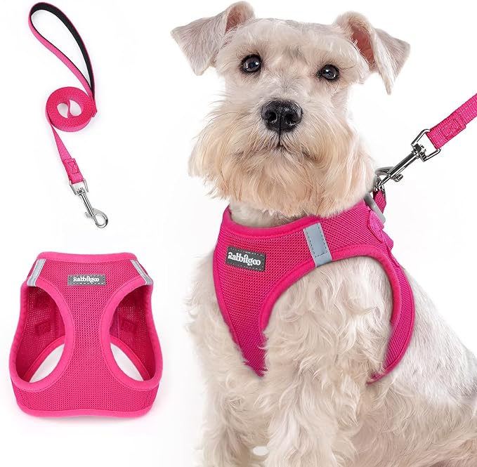 rabbitgoo Dog Harness Medium Sized and Leash Set, Step in Soft Light Puppy Vest, Breathable Mesh Pet Harness, Reflective for Safe Easy Walking, Rosa Red XXL-Mewly Pet