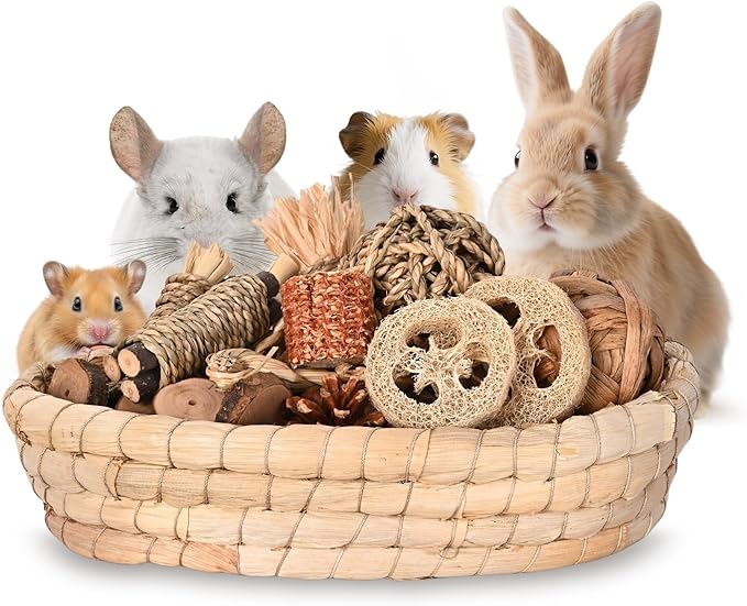 31PCS Rabbit Chew Treat Toys for Teeth Health, Natural Bunny Enrichment Toys for Boredom & Stress Relief, Keep Busy Toys for Guinea Pig Chinchilla Hamster Rat Gerbil Degu Indoor Outdoor-Mewly Pet