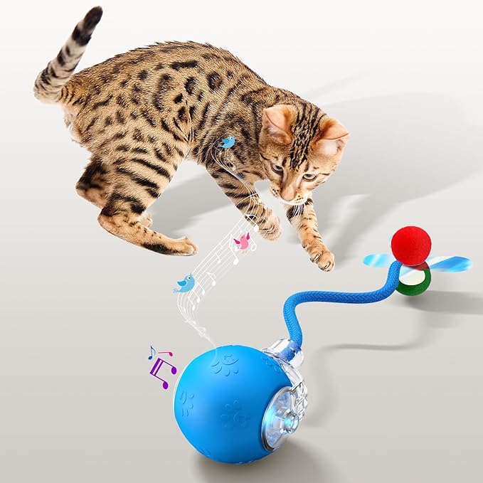 Interactive Cat Toys for Indoor Cats - Kitten Toy with Speedy Tail 2.0, Automatic Cat Toys for Bored Indoor Adult Cats, Motion-Activated, 2025 New Upgraded, USB Rechargeable (Blue)-Mewly Pet