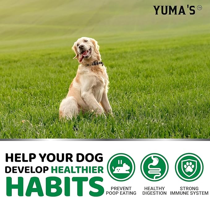 YUMA'S No Poo Chews for Dogs - 170 Count - Coprophagia No Poop Eating Deterrent for Dogs - Stop Eating Poop for Canine - Gut Health - Probiotics & Digestive Enzymes Supplement - Made in USA-Mewly Pet