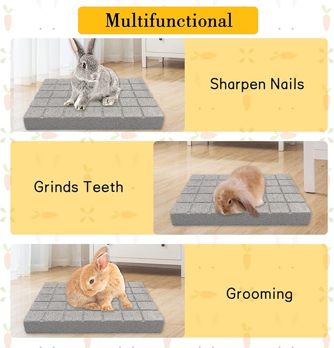 BNOSDM Rabbit Grinding Claw Pads Natural Hamster Lava Stone Teeth Grinding Scratching Pad Chew Toy for Small Animals-Mewly Pet