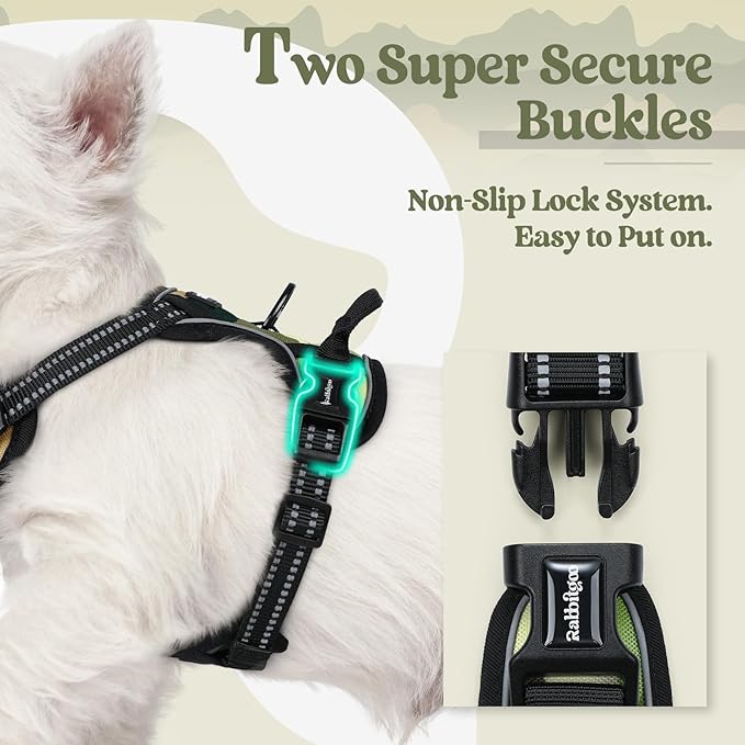 rabbitgoo Dog Harness No Pull with 2 Leash Clips, Adjustable Soft Padded, Reflective Oxford No Choke Pet Vest with Easy Control Handle for Large Dogs, Green Mountain,XS-Mewly Pet
