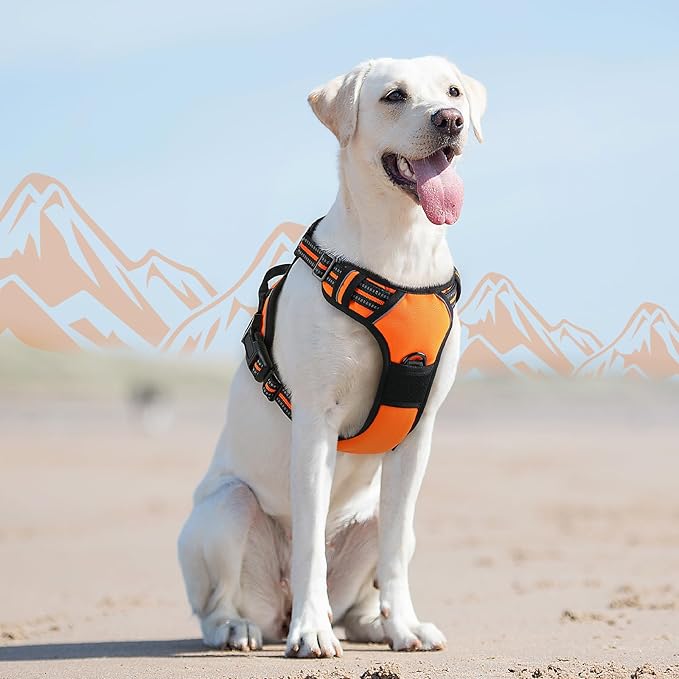 Eagloo Dog Harness for Large Dogs, No Pull Service Vest with Reflective Strips and Control Handle, Adjustable and Comfortable for Walking, No Choke Pet Harness with 2 Metal Rings, Orange, L-Mewly Pet