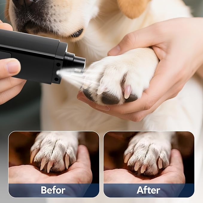 Rechargeable Dog Nail Grinder with 4-Speeds,Pet Claw Trimmers with 2 Modes Lighting UV, Nail Clippers for Small Medium and Large Dogs and Cats, Animal Nail Care,Grooming (Black)-Mewly Pet