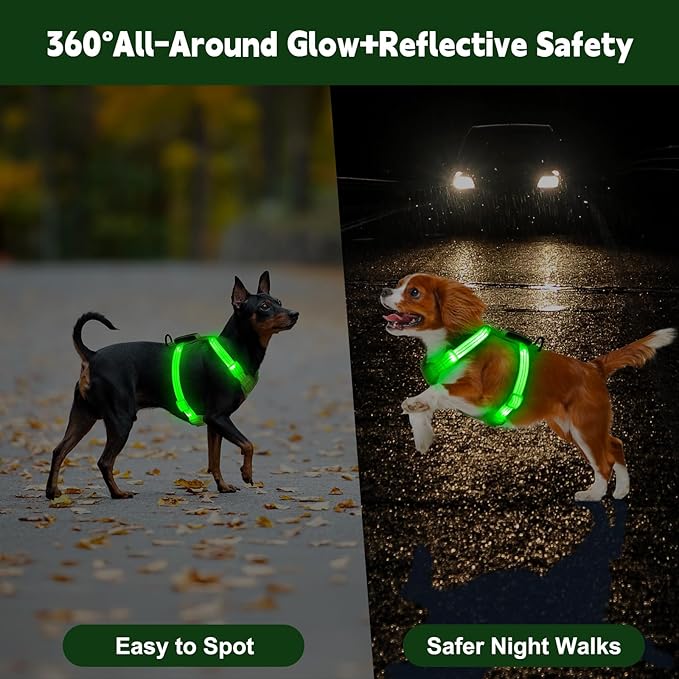 Rechargeable Light Up Dog Harness for Small Dogs – Adjustable LED Dog Vest with Reflective Strips, No Pull Glow in The Dark Puppy Harness for Night Walking Safety-Green-Mewly Pet