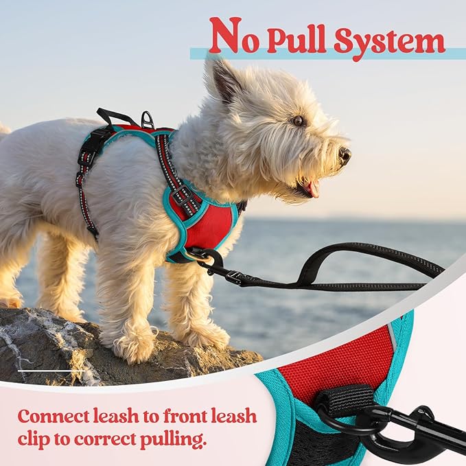 rabbitgoo Dog Harness No Pull with 2 Leash Clips, Adjustable Soft Padded, Reflective Oxford No Choke Pet Vest with Easy Control Handle for Puppy, Red & Teal, XS-Mewly Pet