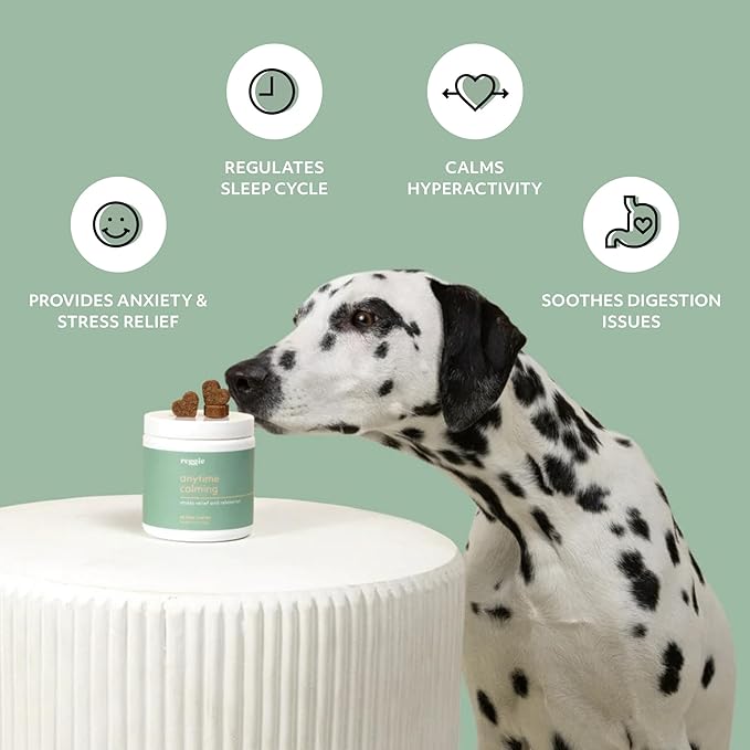 Reggie Anytime Calming Chews for Dogs | Natural Calming Dog Treats to Reduce Hyperactivity, Separation Anxiety, & Stress | Vet-Approved & Ideal for All Ages, Breeds, and Sizes - 60 Soft Chews-Mewly Pet