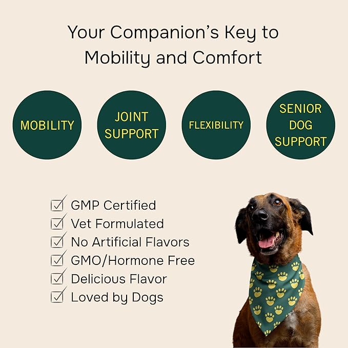 PetMeds Hip & Joint Supplement for Dogs - Vitamins, Glucosamine, MSM, Chondroitin, Collagen for Joint Mobility & Flexibility - Senior Dog Arthritis Support - Beef & Sweet Potato Flavor - 60 Soft Chews-Mewly Pet