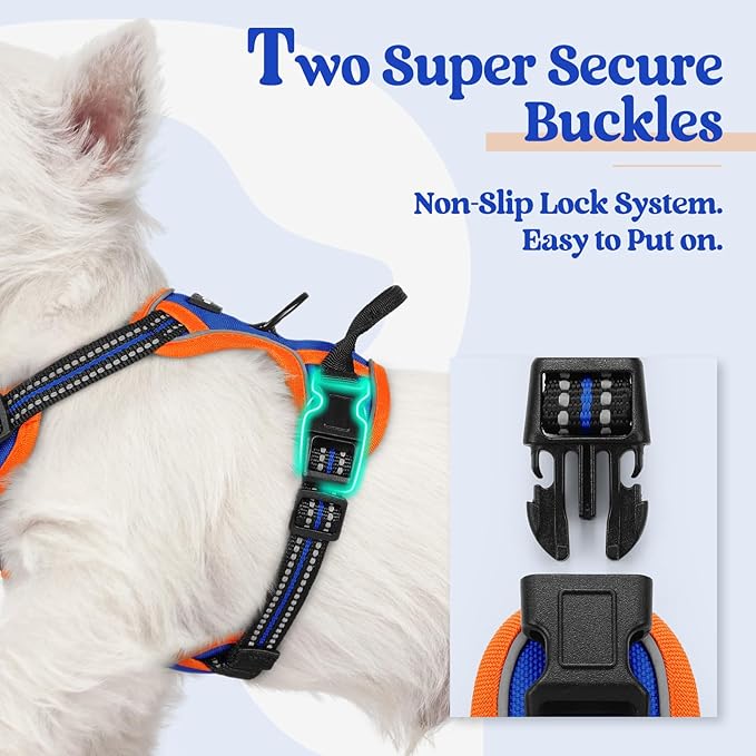 rabbitgoo Dog Harness No Pull with 2 Leash Clips, Adjustable Soft Padded, Reflective Oxford No Choke Pet Vest with Easy Control Handle for Puppy, Blue & Orange, XS-Mewly Pet