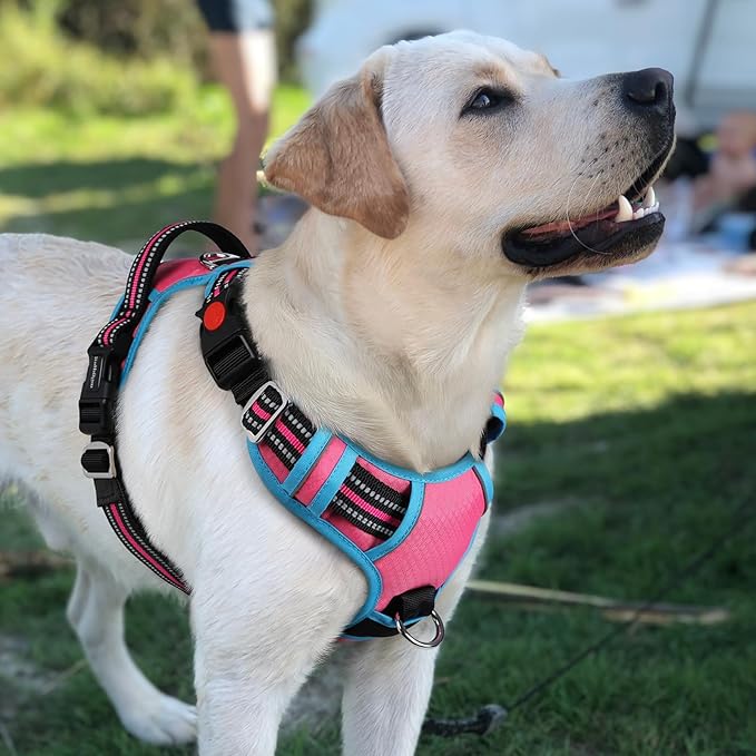 rabbitgoo Dog Harness for Large Dogs, No Pull Pet Vest with 3 Buckles, Adjustable Soft Padded Pet Harness with Easy Control Handle and Reflective Strips, Rose Pink & Blue, L-Mewly Pet