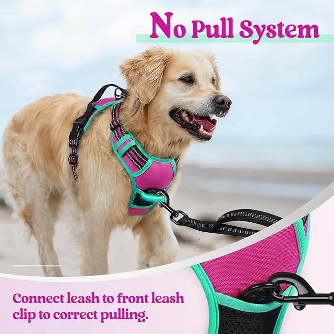rabbitgoo Dog Harness No Pull with 2 Leash Clips, Adjustable Soft Padded, Reflective Oxford No Choke Pet Vest with Easy Control Handle for Large Dogs, Hot Pink & Turquoise, S-Mewly Pet