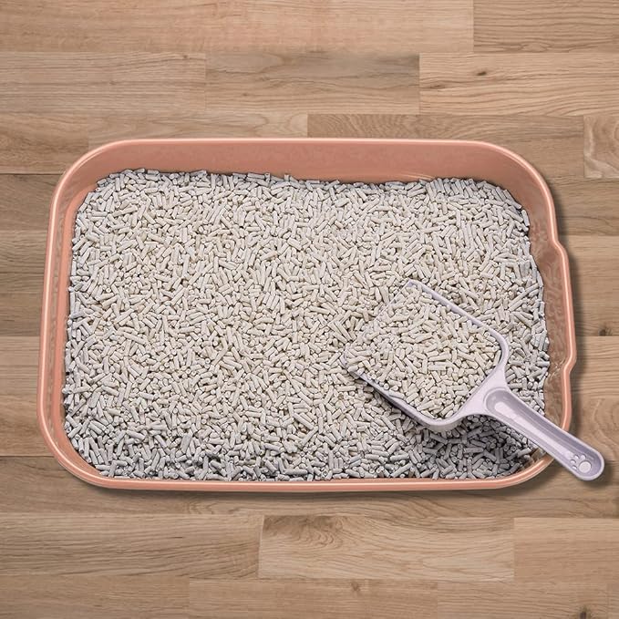 Kitty Litter Box Starter Kit - Small Cat Litter Pan Without Lid, Litter Mat, Scoop and Bowl for Kitten Within 3 Months (PinkScoop Set)-Mewly Pet