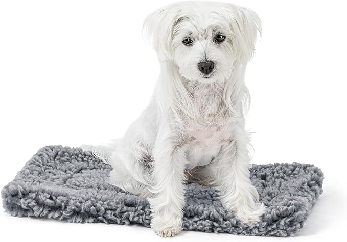 Stoutwool Indestructible Dog Bed - Fluffy Chew Proof Dog Crate Pad - Tough Kennel Pad for Aggressive Chewers - Ideal for Extra Small Breeds & Fits 22-Inch Crate - 21"x12", Charcoal-Mewly Pet