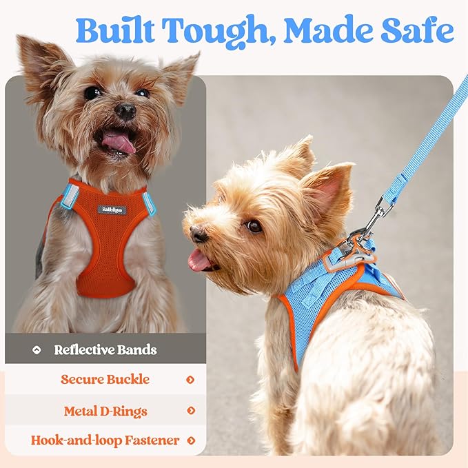 rabbitgoo Dog Harness Small Sized and Leash Set, Step in Soft Light Puppy Vest, Breathable Mesh Pet Harness, Reflective for Safe Easy Walking, Blue & Orange XXXS-Mewly Pet