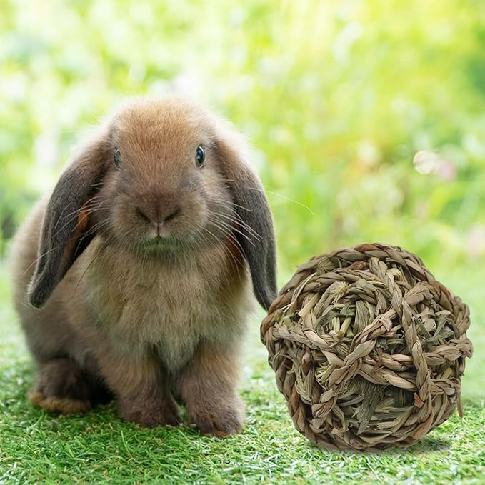 Rabbit Timothy Grass Ball 6 Pcs,Natural Bunny Grass Ball Timothy Hand Woven Chew Toys Small Animals Teeth Grinding Suitable for Hamster Guinea Pig Squirrel Totoro Gerbils-Mewly Pet