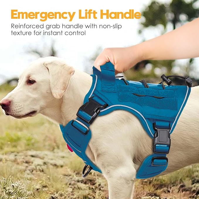 Heavy-Duty Tactical Dog Harness for Large Dogs, No Pull Adjustable Reflective Pet Vest with Molle System, K9 Military-Grade Control for Service Training, Outdoor & 10+ Breeds, Blue, Small-Mewly Pet
