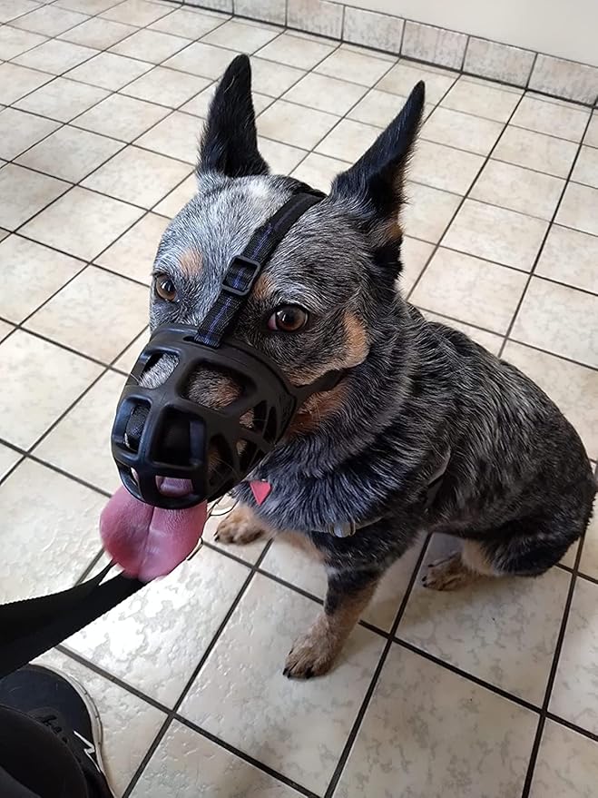 Mayerzon Dog Muzzle, Breathable Basket Muzzles for Small, Medium, Large and X-Large Aggressive Dogs Beagle German Shepherd Doberman, Cage Mouth Guard Stop Biting Chewing for Grooming Training-Mewly Pet