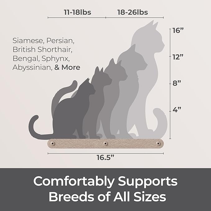 Wall Mounted Cat Perch Long Shelf by Pryde Pets - Floating Hammock Bed, 100% Sustainable PET Felt Feline Enrichment Climber Furniture for Indoor Cats, Modern Climbing Gym Jungle Design (Oatmeal)-Mewly Pet