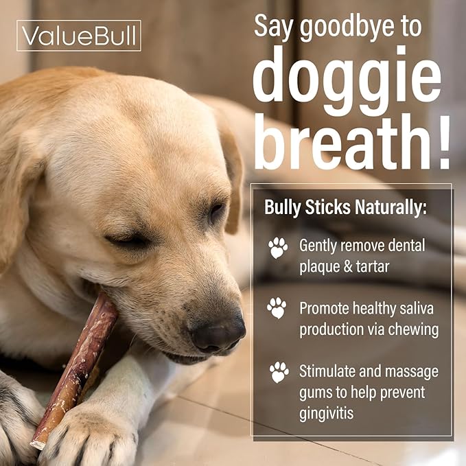 ValueBull Bully Sticks for Large Dogs, Jumbo 6 Inch, 100 Count Bulk Pack - All Natural, Grass Fed, Single Ingredient, Long Lasting Dog Treats for Aggressive Chewers-Mewly Pet