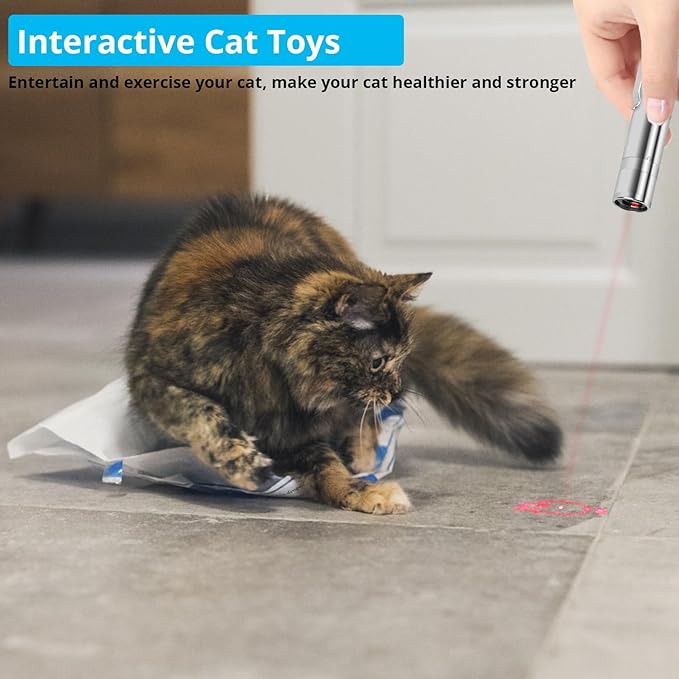 Cat Toy Pointer for Indoor Cats, 2 Pieces, USB Rechargeable Kitten Toys with 7 Adjustable Patterns, Interactive Chase Toys for Indoor Cats & Dogs, Training & Exercise Fun-Mewly Pet