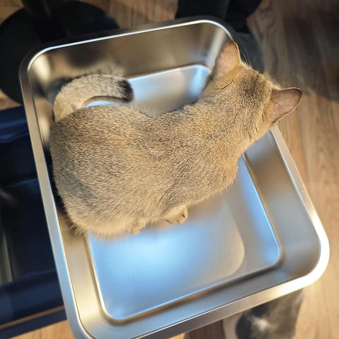 LIHONG Stainless Steel Cat Litter Box,Small Metal Litter Box for Small Cats Hamster Rabbits,No Smell,Non Stick,Easy to Clean(18" Lx14 Wx4 H,M)-Mewly Pet