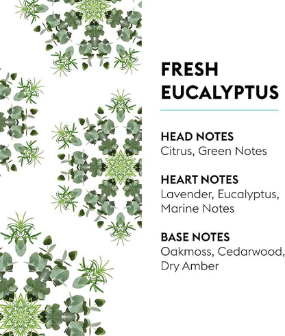 Maison Berger - Fresh Eucalyptus - Lampe Berger Fragrance Refill – 16.9 oz (500ml) – Home Fragrance Oil & Air Purifier – Lavender, Eucalyptus, Cedar & Amber