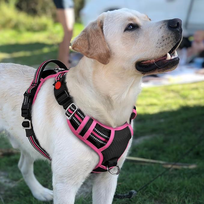rabbitgoo Dog Harness for Large Dogs, No Pull Pet Vest with 3 Buckles, Adjustable Soft Padded Pet Harness with Easy Control Handle and Reflective Strips, Black & Rose Pink, L-Mewly Pet