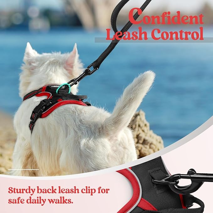 rabbitgoo Dog Harness No Pull with 2 Leash Clips, Adjustable Soft Padded, Reflective Oxford No Choke Pet Vest with Easy Control Handle for Puppy, Black & Red, XS-Mewly Pet