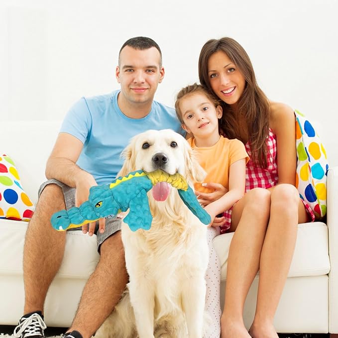 Dog Toys Cute Alligator Dog Toy Tough Plush Puppy Toy for Playtime, Training & Tug of War- Interactive Squeaky & Crinkle Chew Toy for Small to Large Dogs-Mewly Pet