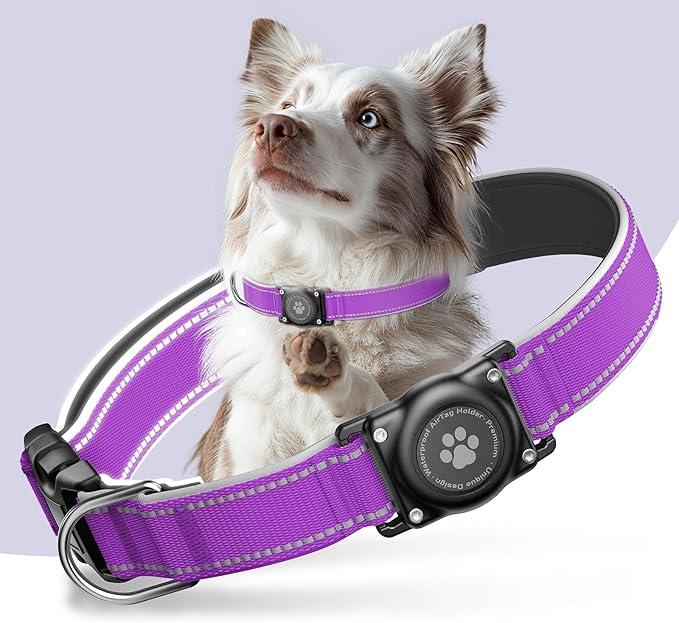 Airtag Dog Collar - 100% Waterproof Air tag Dog Collar Holder for Apple AirTag, Reflective, Soft Padded, Everlasting, GPS Dog Collar for Small Medium Large Dogs (Purple, M)-Mewly Pet