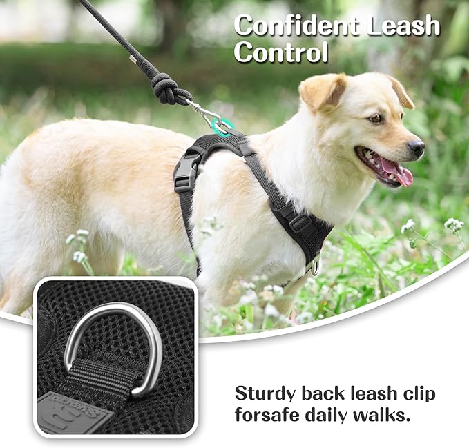 No Pull Dog Harness for Small Medium Large Dogs - Adjustable Two-Layer Mesh Dog Vest with Dual Clip, Escape Proof, Quick Release, Lightweight Breathable Mesh for Walking Hiking (Black,XL)-Mewly Pet