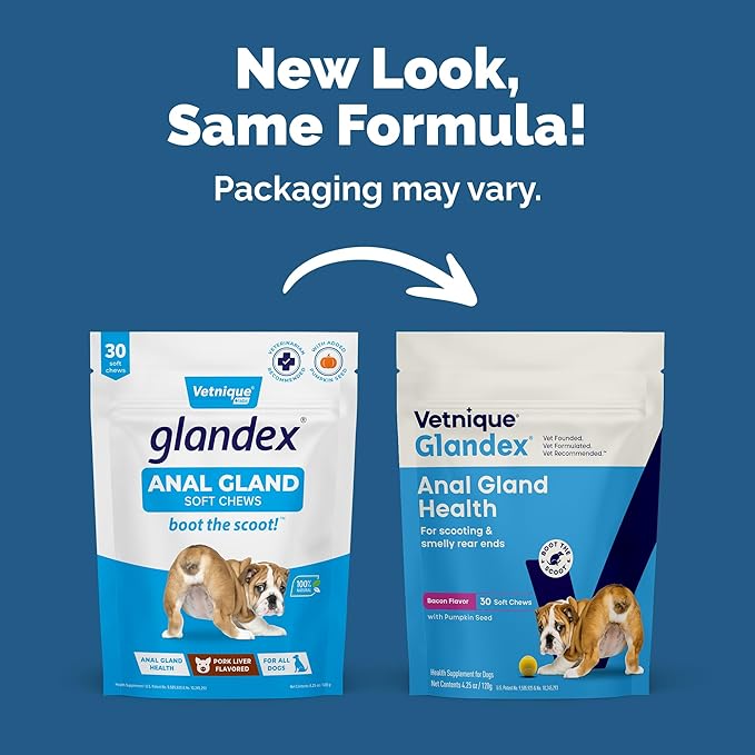 Vetnique Labs Glandex Anal Gland Soft Chew Treats with Pumpkin for Dogs Digestive Enzymes, Probiotics Fiber Supplement for Dogs Boot The Scoot (Bacon/Pork Chews, 30 Count)-Mewly Pet